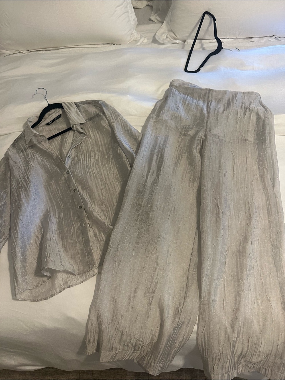 Shimmery ZARA Sheer Wide Leg Pants